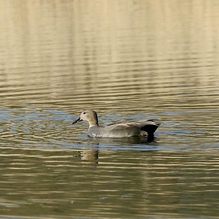 Gite De L'Etang Belval-en-Argonne Екстериор снимка