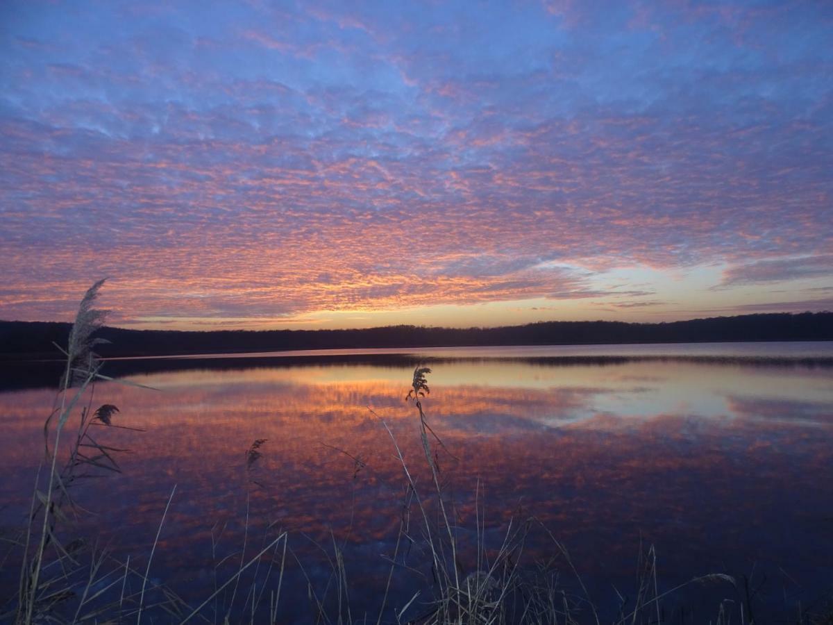 Gite De L'Etang Belval-en-Argonne Екстериор снимка