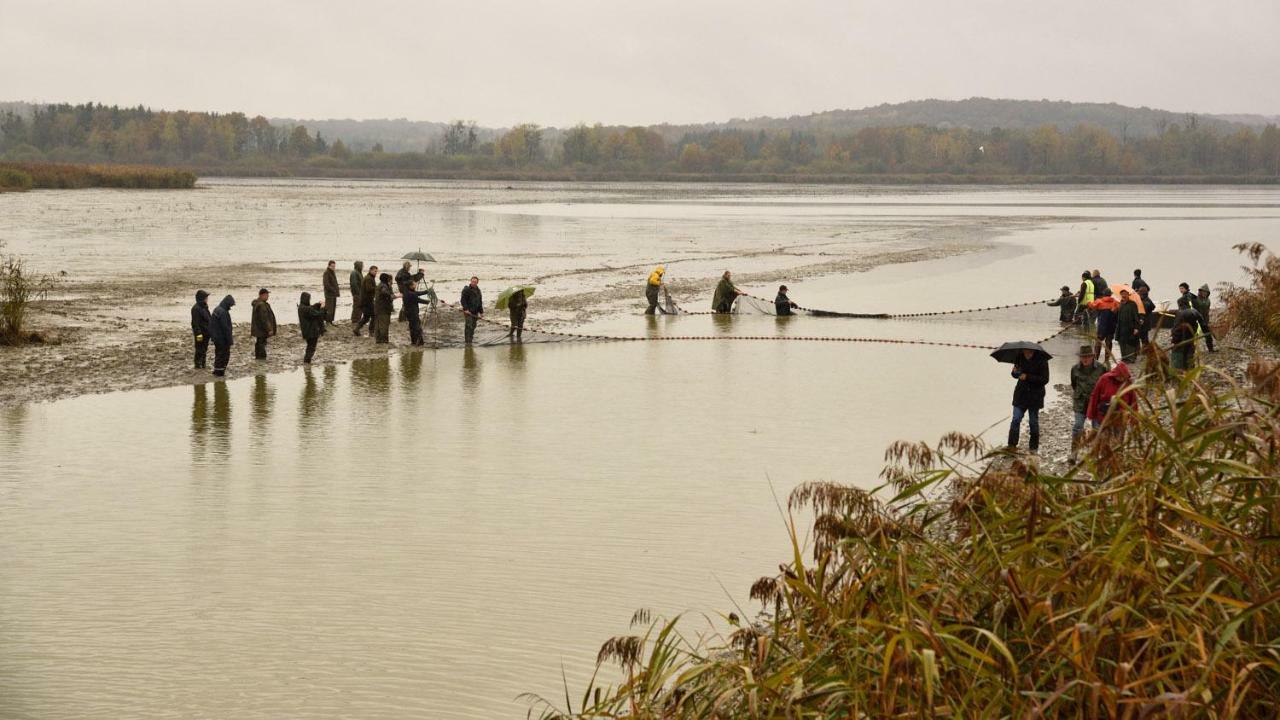 Gite De L'Etang Belval-en-Argonne Екстериор снимка